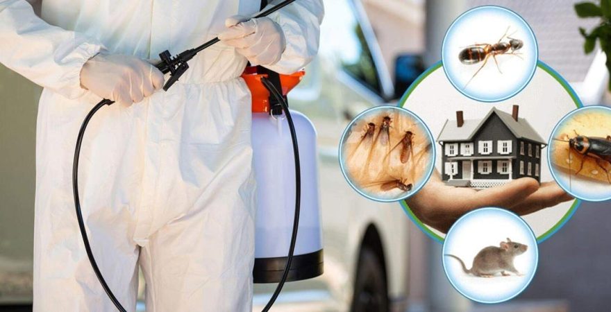 Datça Böcek İlaçlama