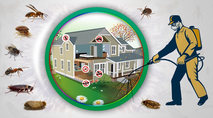 Datça Böcek İlaçlama