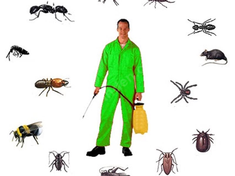 Datça Böcek İlaçlama